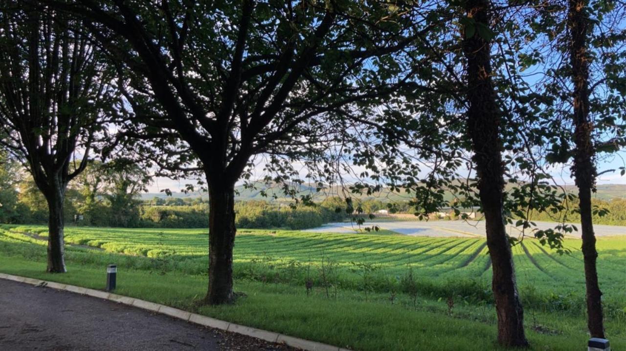 Highgrange Apartments Dundalk Bagian luar foto